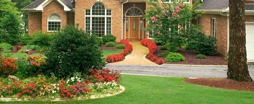 Garden & Landscaping