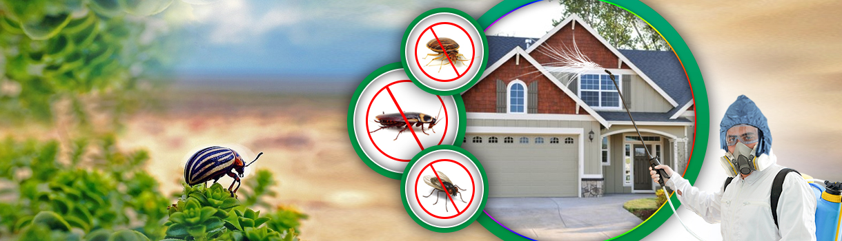 Pest Control Services